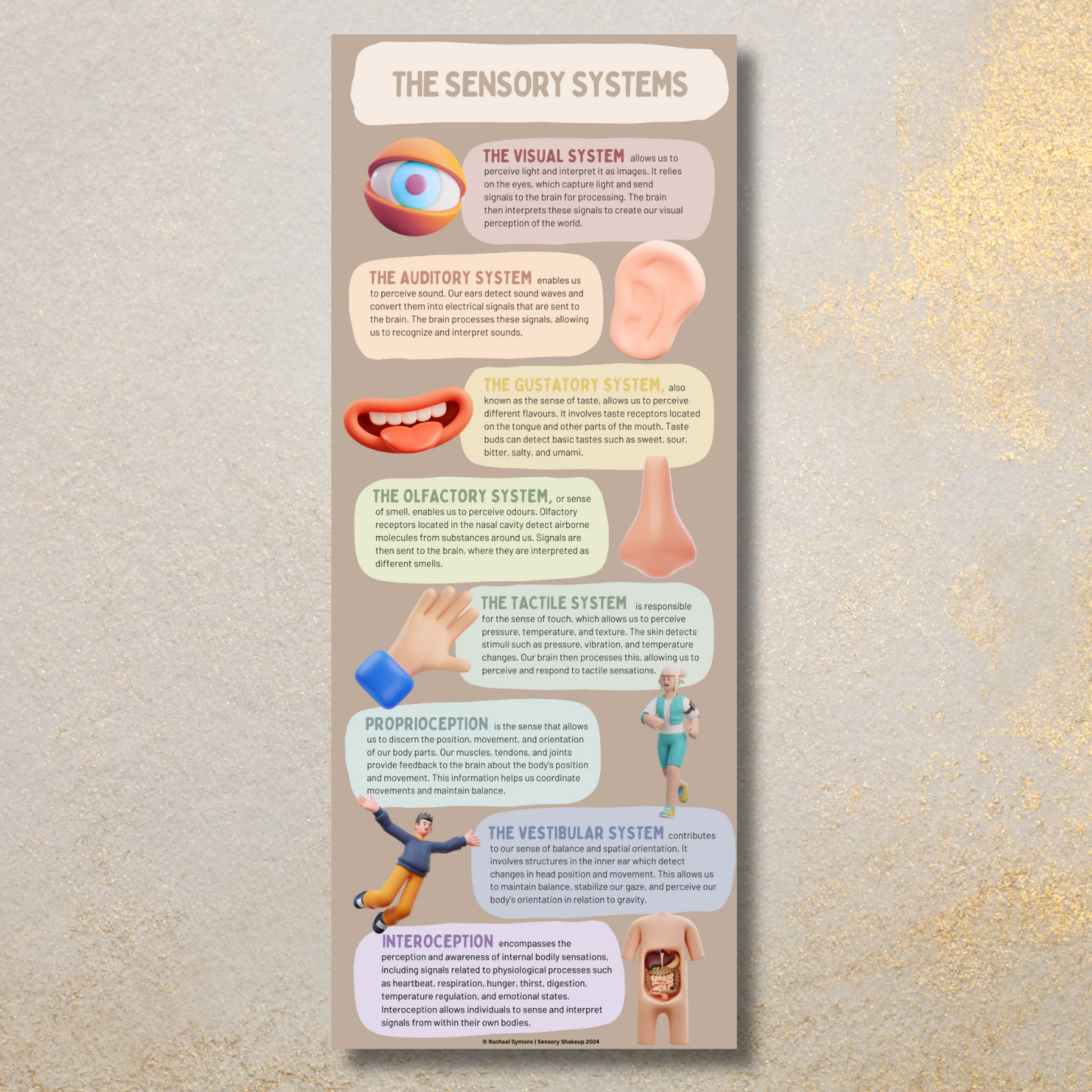 Sensory Systems Infographic